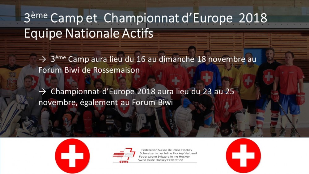 Equipe nationale Actifs les joueurs sélectionnés pour : 3ème camp et Championnat d'Europe 2018.